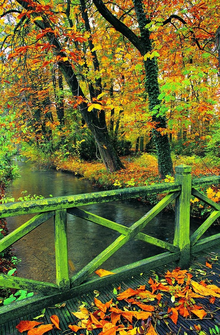 Brücke Oberer Stadtwald