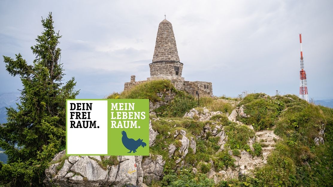 Von Kranzegg auf den Grünten Gipfel