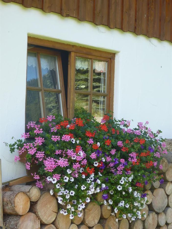 Blumen