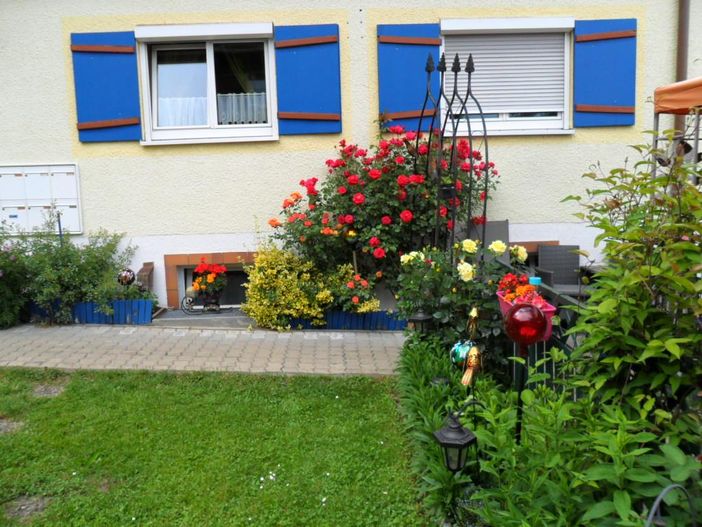 HAUS (3)