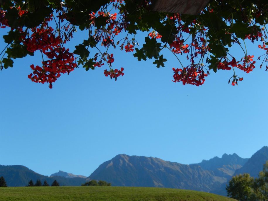 Blick aus Haustüre, Haus Anton Obermaiselstein