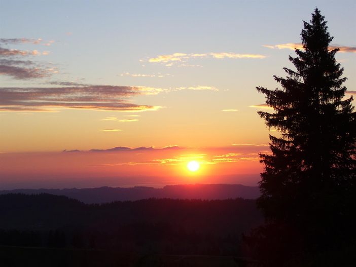 Sonnenuntergang über dem Bodensee