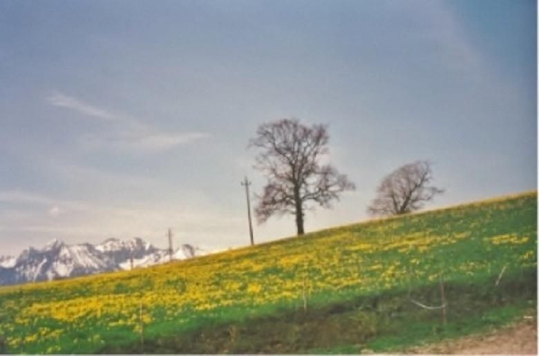 Aussicht Frühling