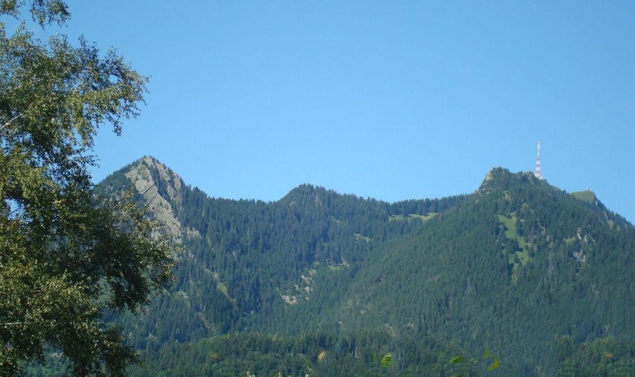 Grünten von der Terrasse