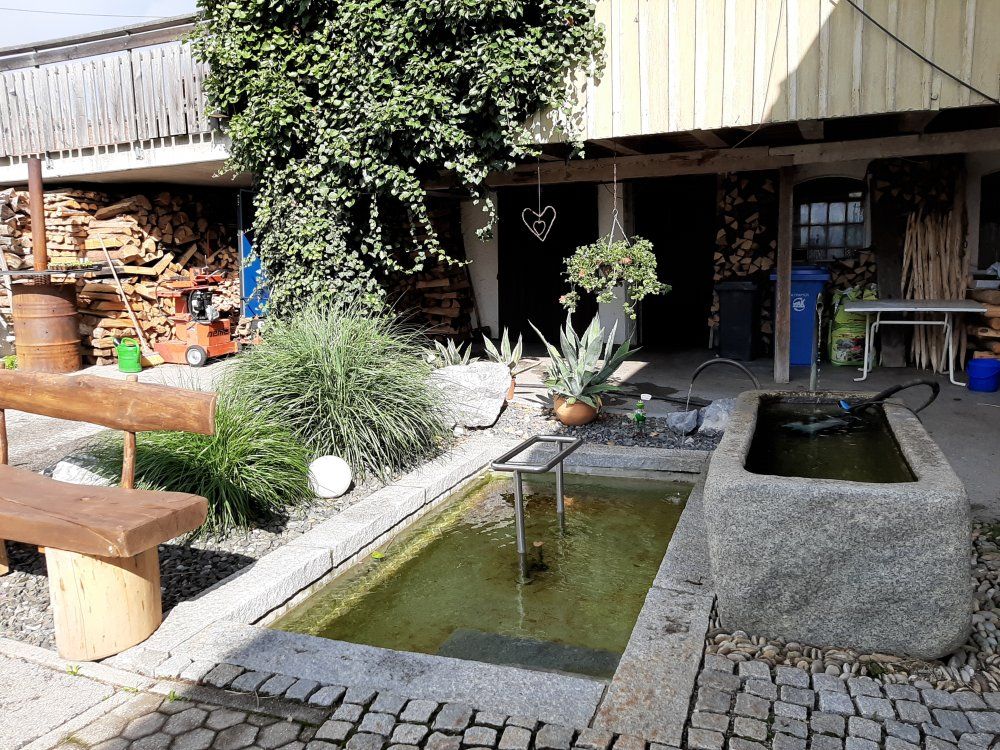 Einfach reinsteigen...