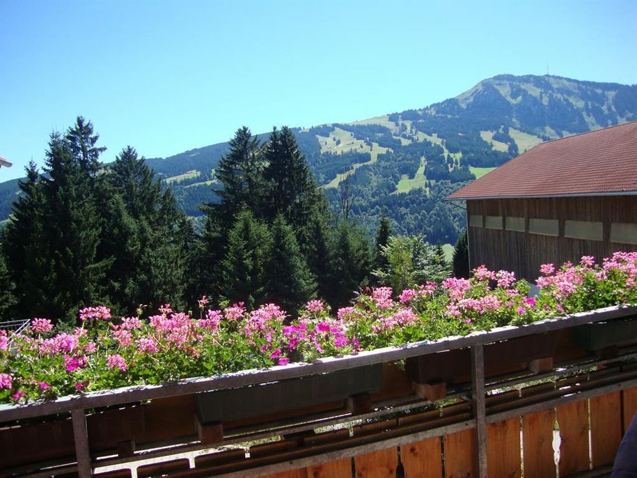 Aussicht auf Grünten