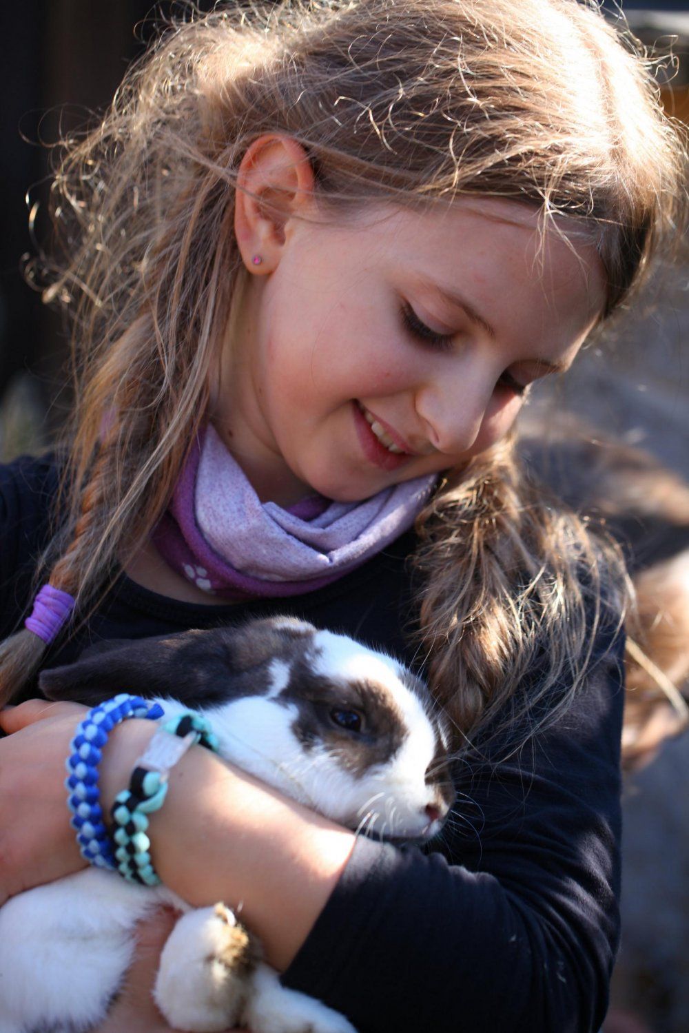 Tiere hautnah erleben