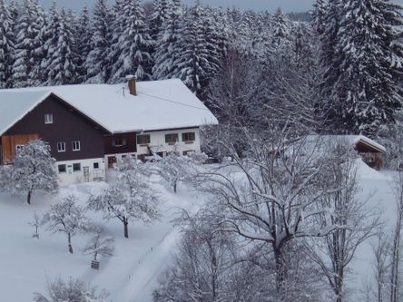 Einmal richtig Winter