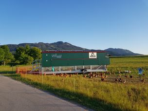 Eier vom Hühnermobil Bayrhof