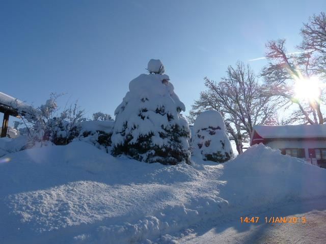 Wintermännchen