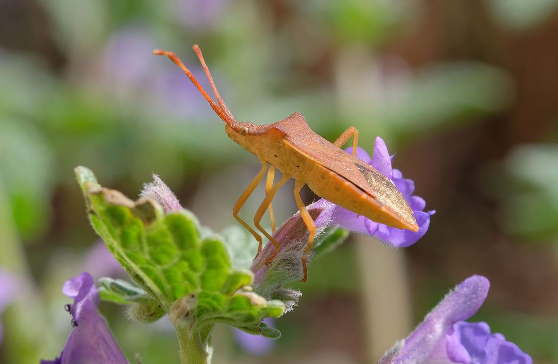 27072025-Dialog-Natur-Willibald-Lang-XS