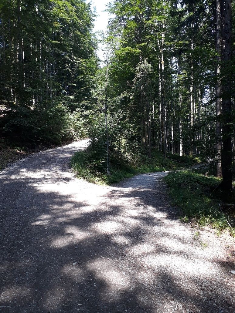 Weggabelung in Richtung Weißensee-Rundweg