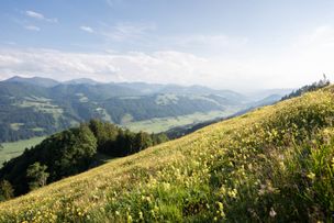 Oberstaufen Tourismus, Nico Bogenreuther