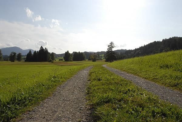 Hinterm Haus 4