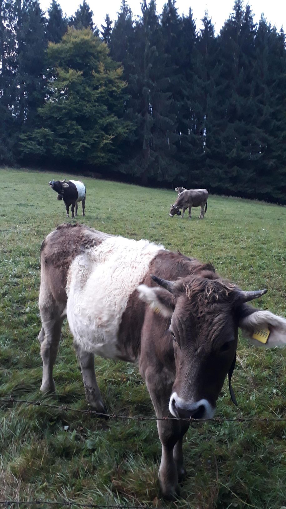 In der Nachbarschaft