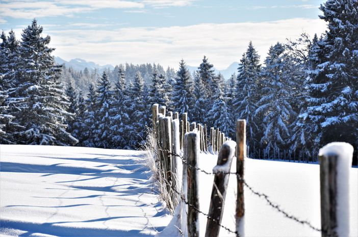 Winter_5