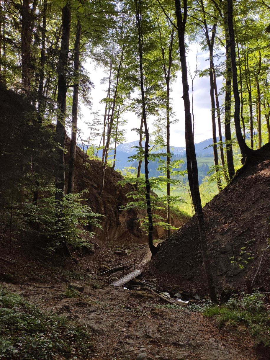 Wanderweg am Haus