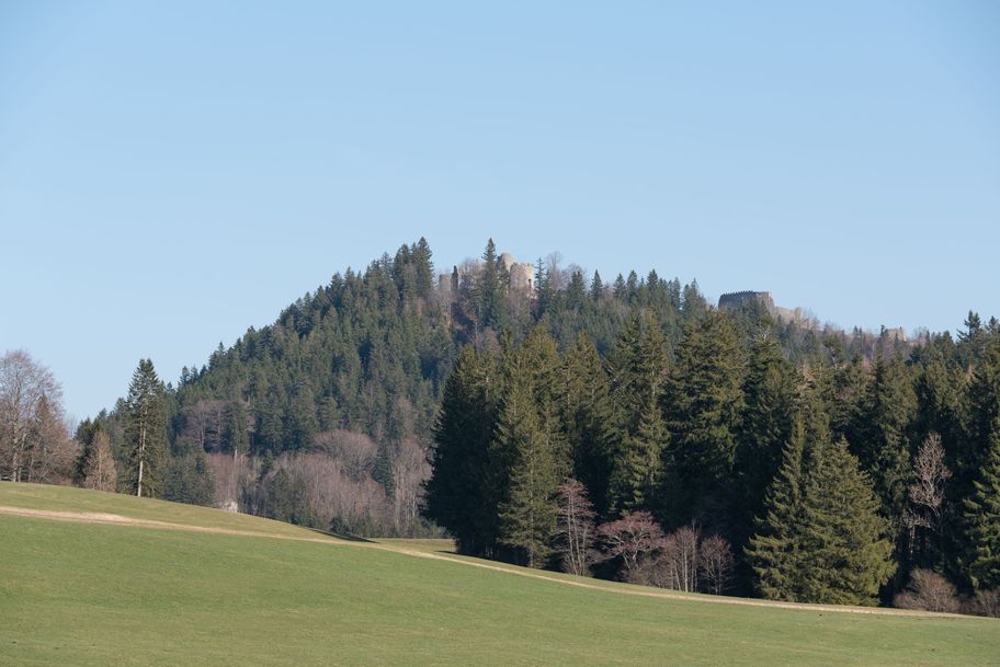 Der Blick auf die Burgruinen Hohenfreyberg und Eisenberg begleiten die Tour.