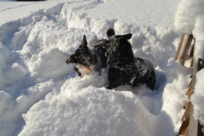 Winter ist toll