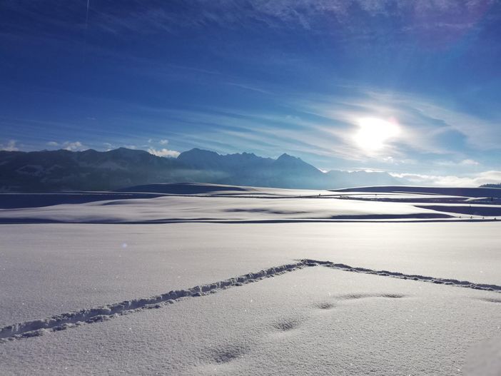 Winter