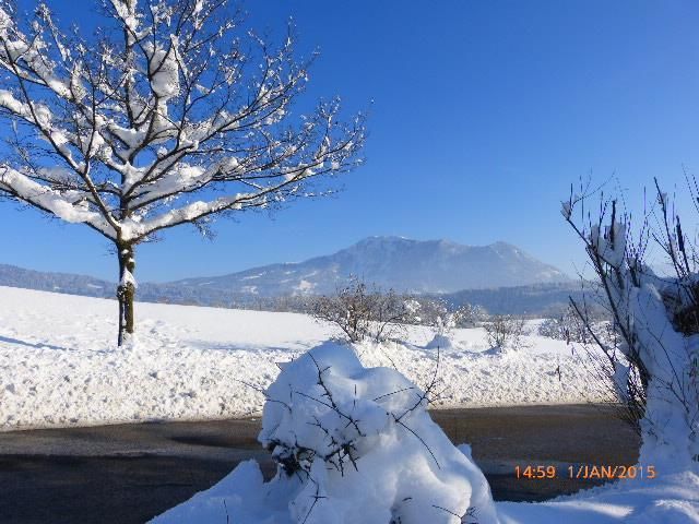 Blick auf den Grünten