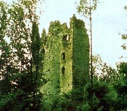 Die Burgruine Laubenbergerstein