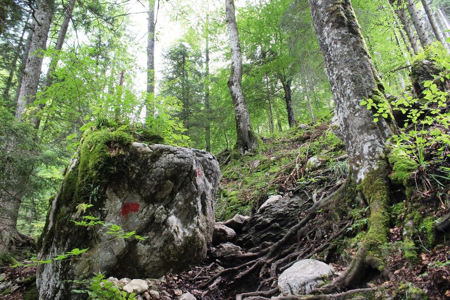 Wanderweg durch die Reichenbachklamm