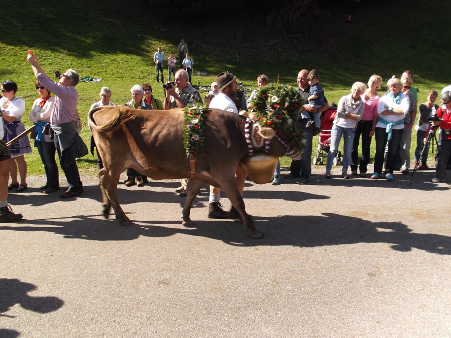 Viehscheid in Obermaiselstein