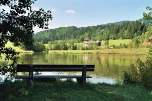 Bank am Eibele-See