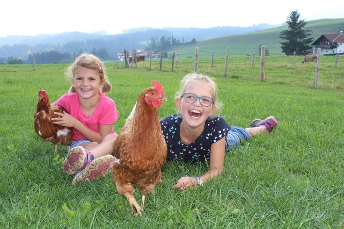 glückliche Kinder - glückliche Hühner