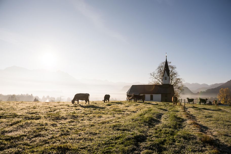 Hörnerdörfer-Idyll an der Bolsterlanger Kapelle