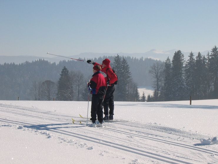 Langläufer im Allgäu bei Beuren