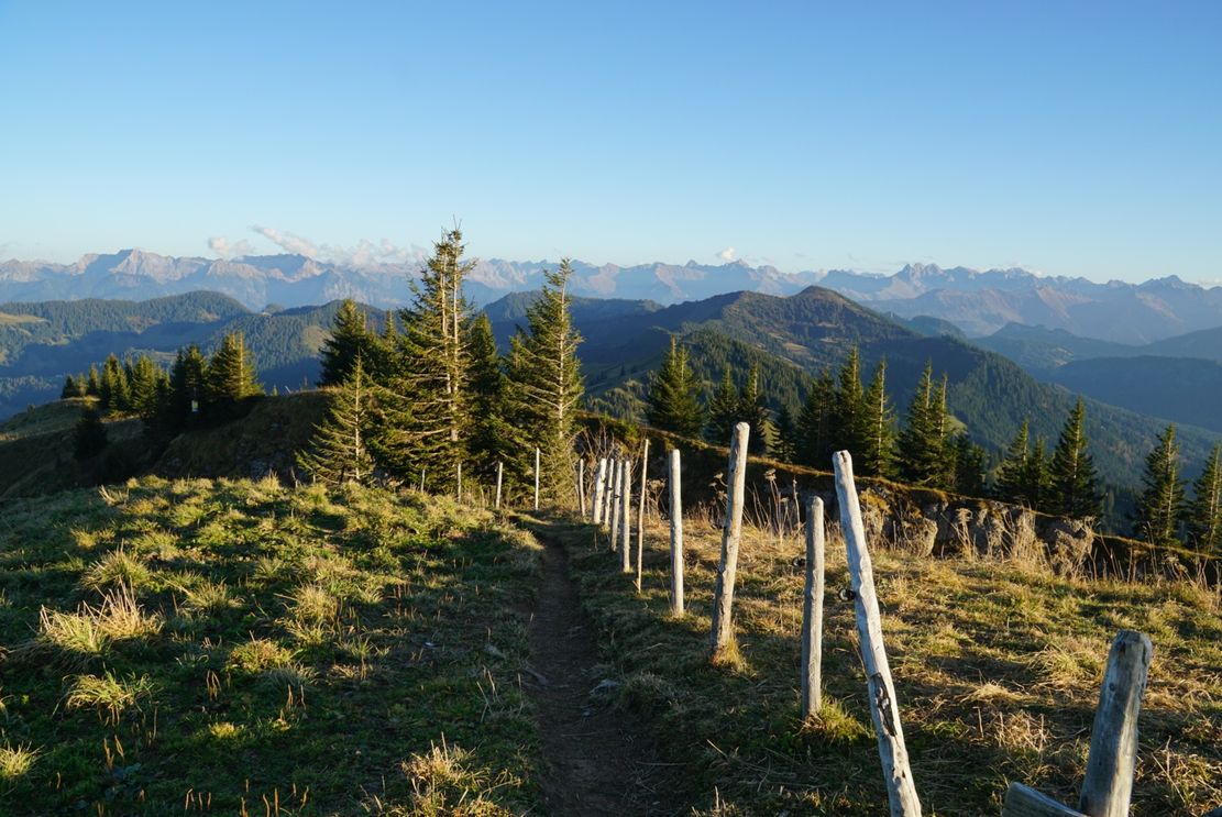 Auf dem Siplinger mit Weitblick