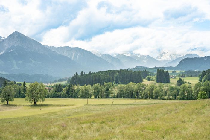 Ausblick