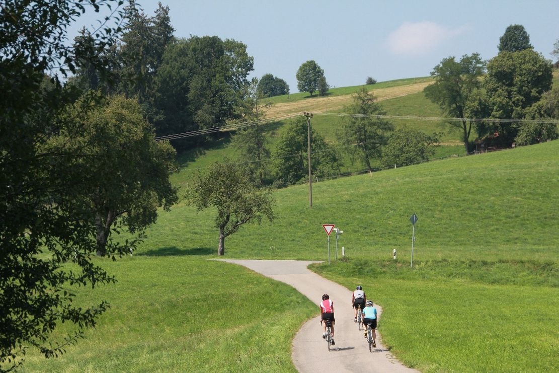Am Gießbach bei Wangen