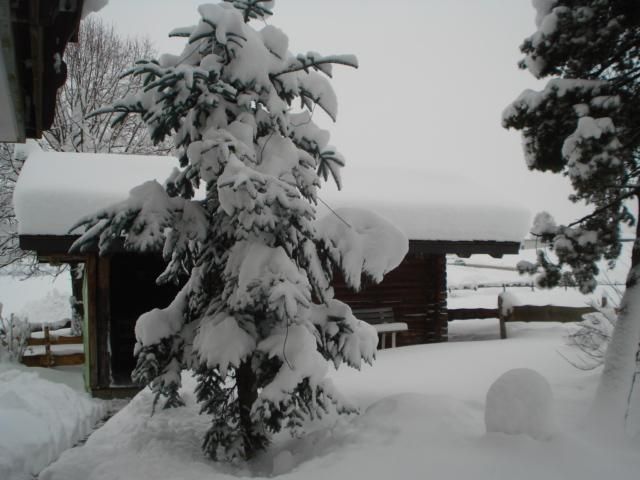 Winter am Gartenhaus
