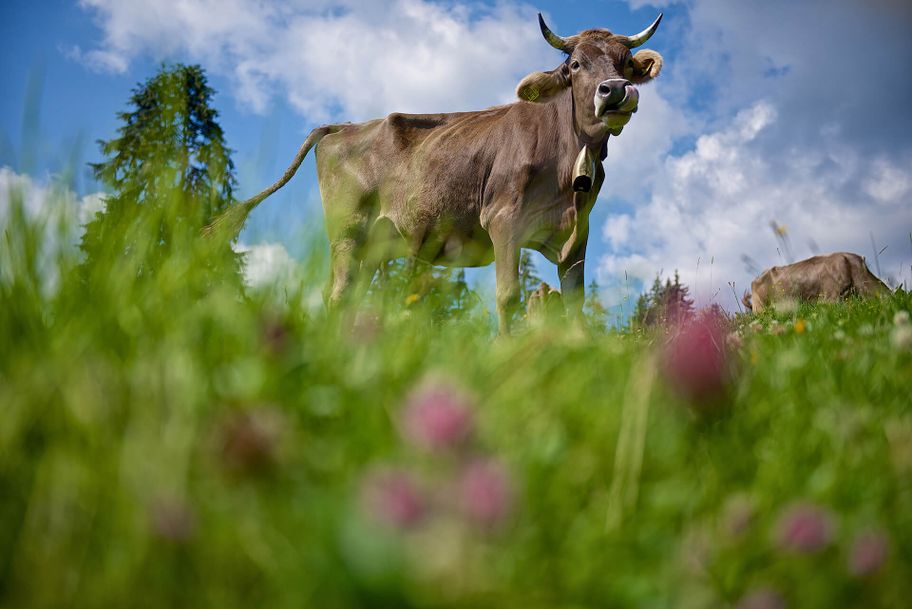 Foto: Tobias Heimplätzer