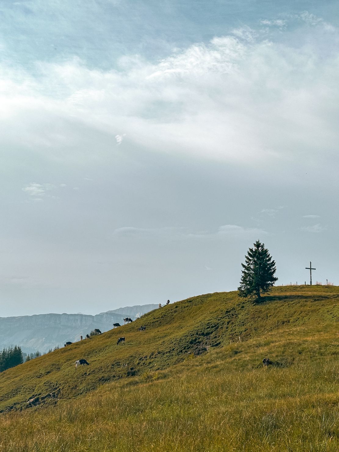 Blick auf Gipfelkreuz