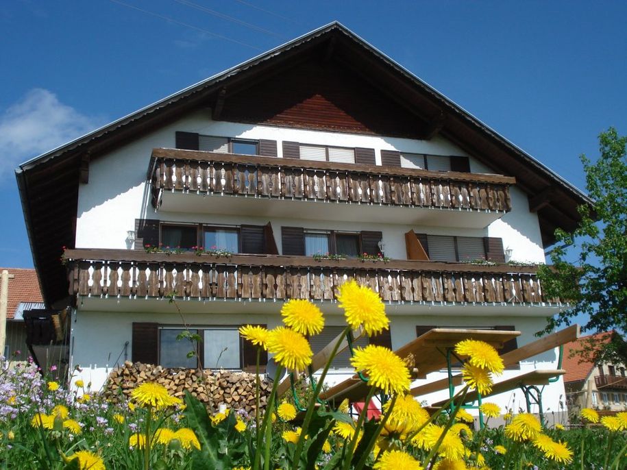 Löwenzahnblüte