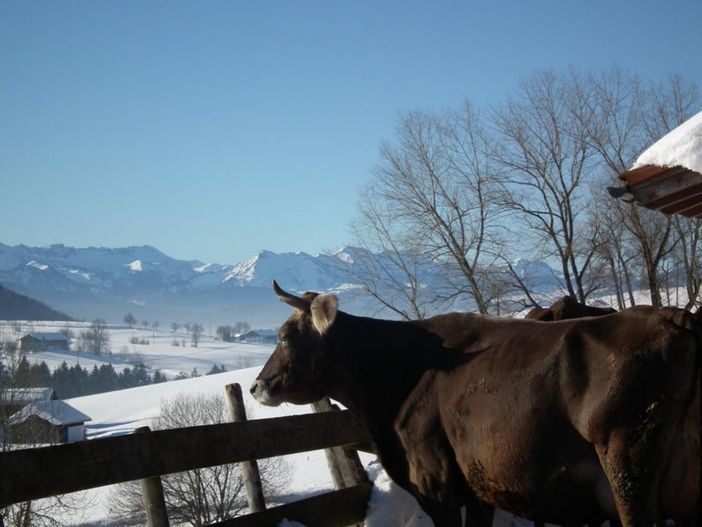 Blick_vom_Dachfenster Neu