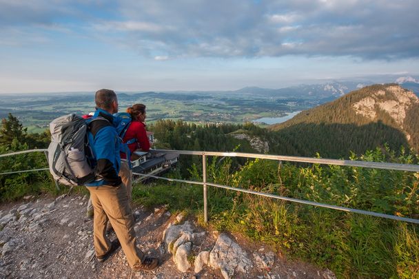 Blick von der Burgruine Falkenstein auf den Schlosspark