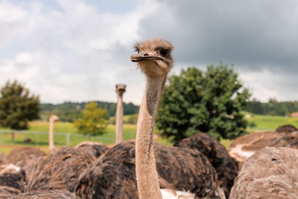 Waldburger Erlebnisweg