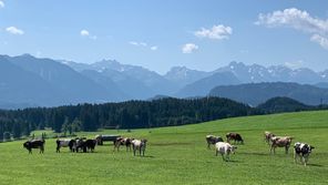 Blick vom Haus