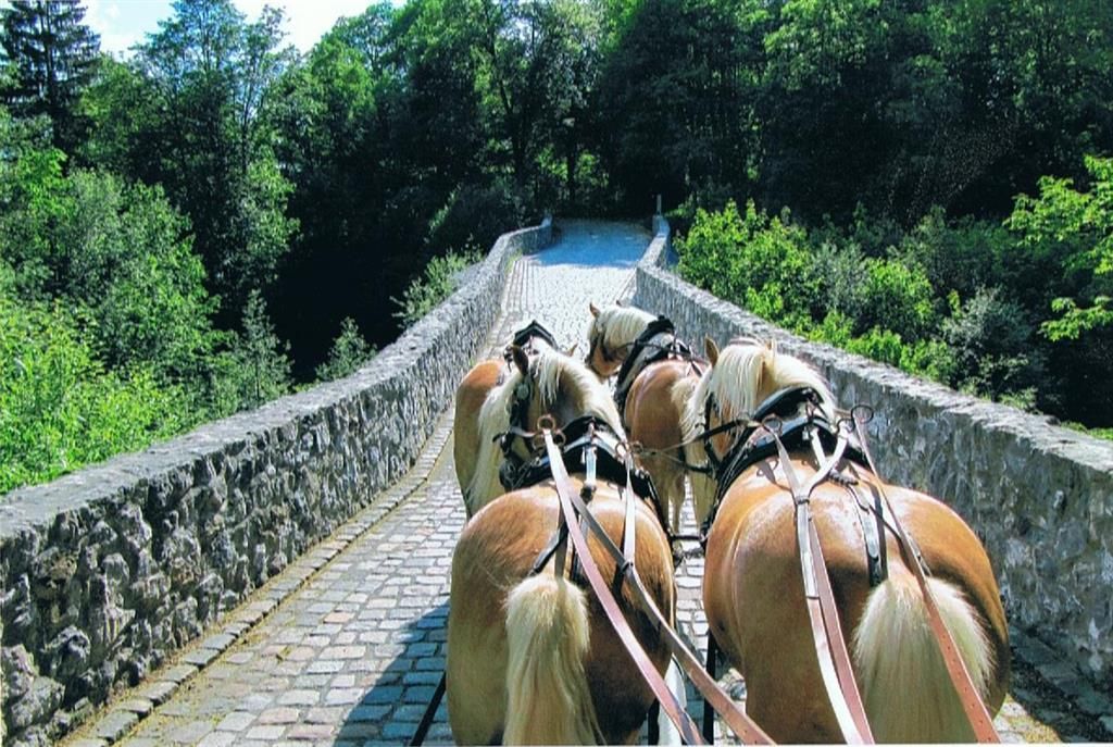 eine Kutschfahrt mit dem Hausherrn