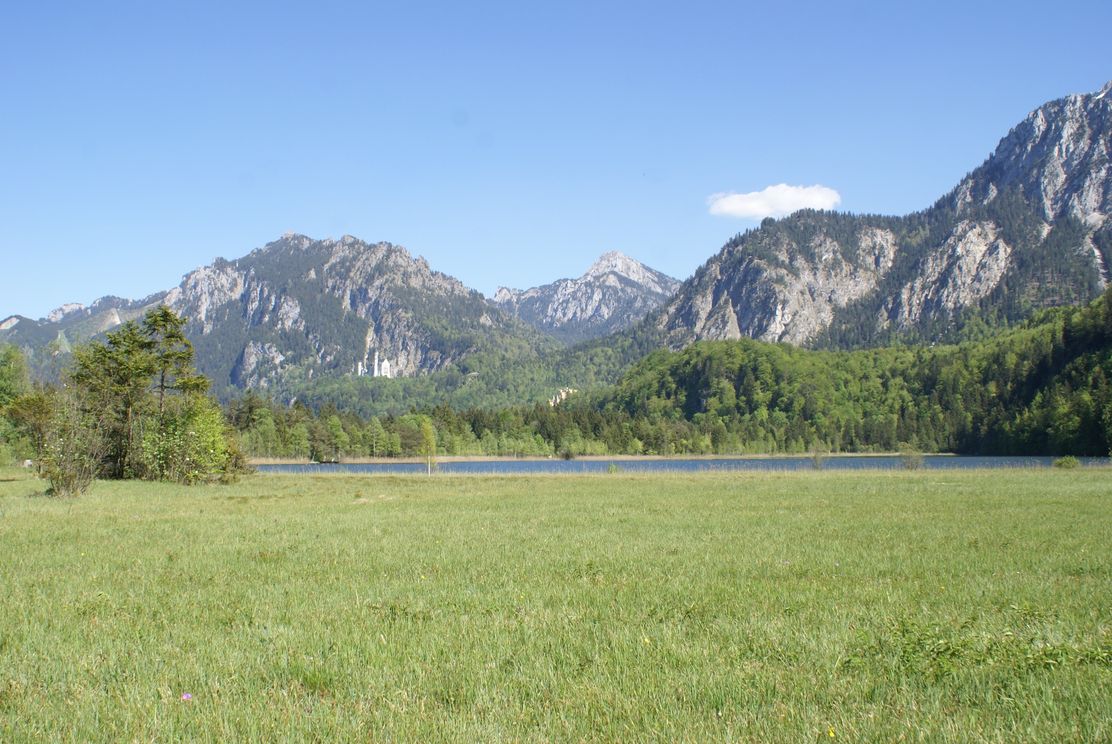 Der Schwanseepark mit Blick auf den Schwansee und Schloss Neuschwanstein