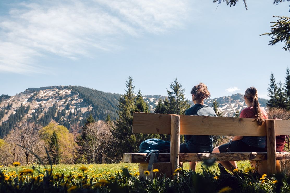 Rund ums Immenstädter Horn