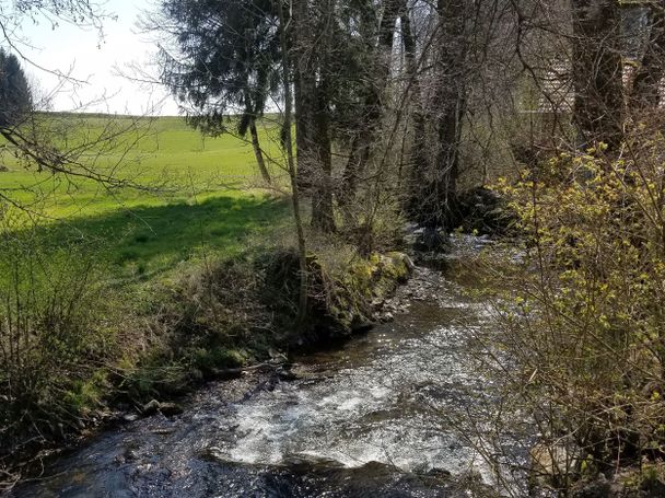 Die Haslach
