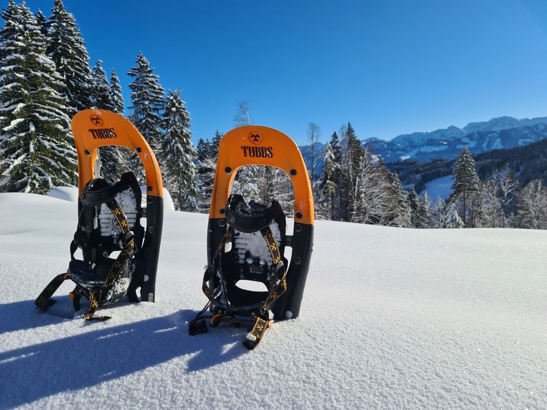 Schneeschuhtour auf den Mittagberg