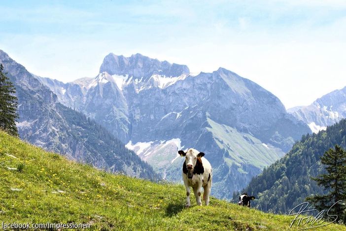 Bergwelt