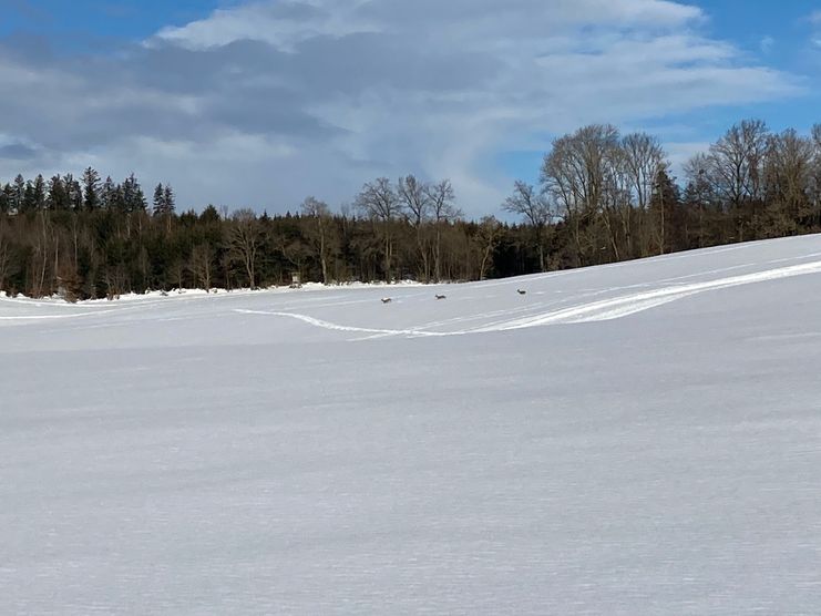 Rund um Berg